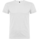 CAMISETA BEAGLE