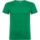 CAMISETA BEAGLE